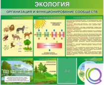 Стенд "Экология. Организация и функционирование сообществ" - «globural.ru» - Сургут