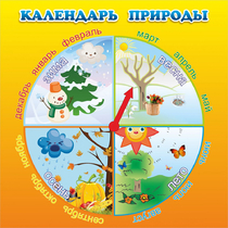 Стенд "Календарь природы" 0.5x0.5 - «globural.ru» - Сургут