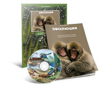 Электронное наглядное пособие «Эволюция» - «globural.ru» - Сургут