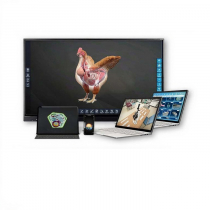 Интерактивное наглядное 3D пособие «Познание: Птицеводство» - «globural.ru» - Сургут