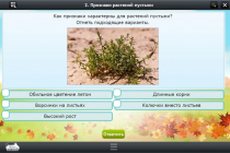 Интерактивные курсы. Окружающий мир 3 класс. Базовый - «globural.ru» - Сургут