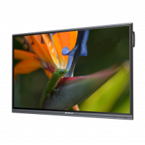 Интерактивный программно-аппаратный комплекс Geckotouch Interactive Pro IP75HT-E в комплекте с настенным креплением - «globural.ru» - Сургут
