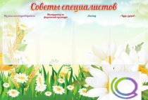 Стенд "Советы специалистов" - «globural.ru» - Сургут
