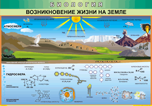 Таблица Возникновение жизни на Земле 1000*1400 винил - «globural.ru» - Сургут