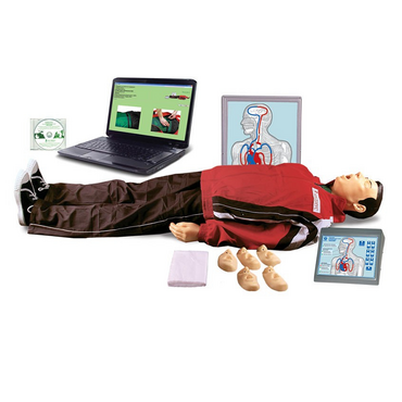 "Максим III-01"  тренажер сердечно-легочной и мозговой реанимации c обучающей компьютерной анимационной программой - «globural.ru» - Сургут