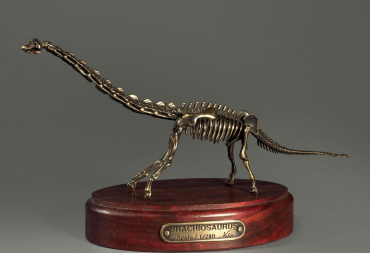 Модель скелета динозавра Brachiosaurus - «globural.ru» - Сургут