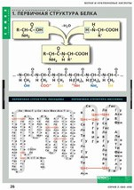 Химия. Белки и нуклеиновые кислоты (комплект таблиц) - «globural.ru» - Сургут