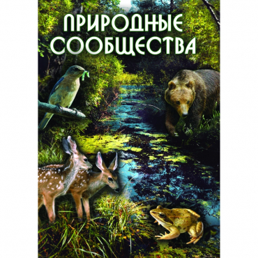 DVD Природные сообщества - «globural.ru» - Сургут