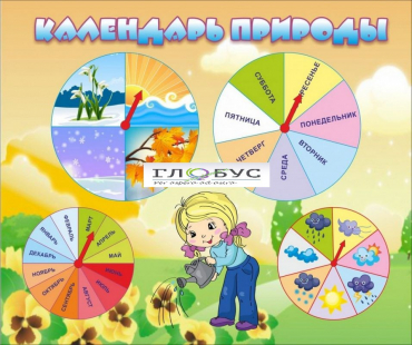 Стенд "Календарь природы" (вариант 1) - «globural.ru» - Сургут
