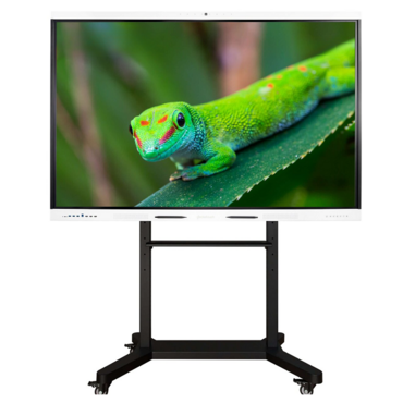 Интерактивный комплекс Geckotouch ​​​​​​​75RK - «globural.ru» - Сургут