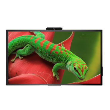 Интерактивная панель Geckotouch Interactive 65R - «globural.ru» - Сургут
