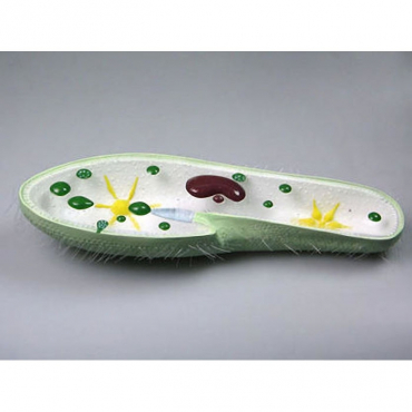 Модель "Инфузория-туфелька" - «globural.ru» - Сургут